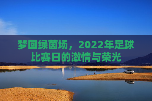 梦回绿茵场,2022年足球比赛日的激情与荣光