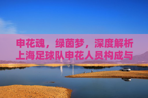 申花魂,绿茵梦,深度解析上海足球队申花人员构成与核心力量