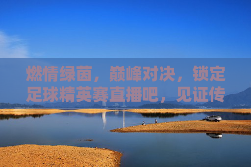 燃情绿茵,巅峰对决,锁定足球精英赛直播吧,见证传奇时刻