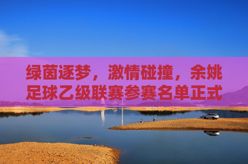 绿茵逐梦,激情碰撞,余姚足球乙级联赛参赛名单正式揭晓