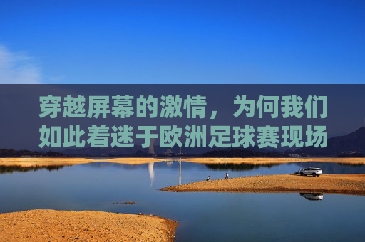 穿越屏幕的激情,为何我们如此着迷于欧洲足球赛现场视频