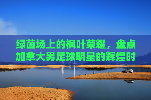 绿茵场上的枫叶荣耀,盘点加拿大男足球明星的辉煌时刻