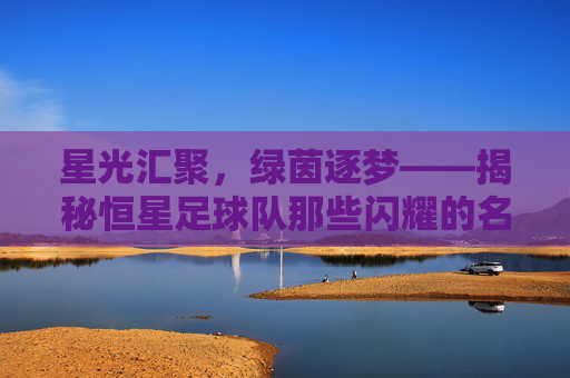 星光汇聚,绿茵逐梦——揭秘恒星足球队那些闪耀的名字