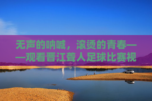 无声的呐喊,滚烫的青春——观看晋江聋人足球比赛视频有感