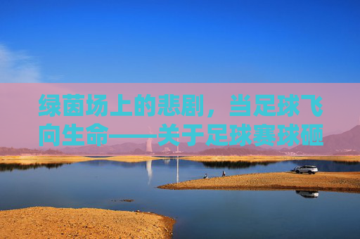 绿茵场上的悲剧,当足球飞向生命——关于足球赛球砸死观众事件的反思