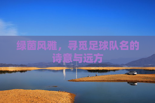 绿茵风雅,寻觅足球队名的诗意与远方