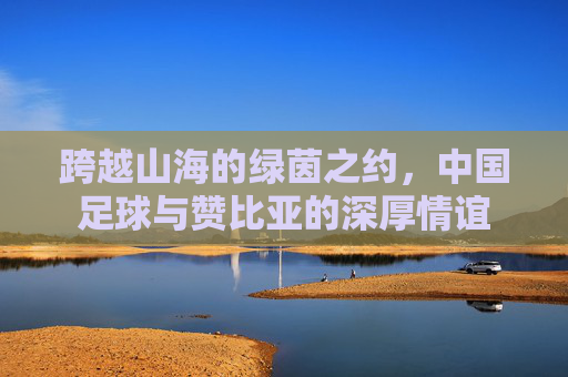 跨越山海的绿茵之约,中国足球与赞比亚的深厚情谊