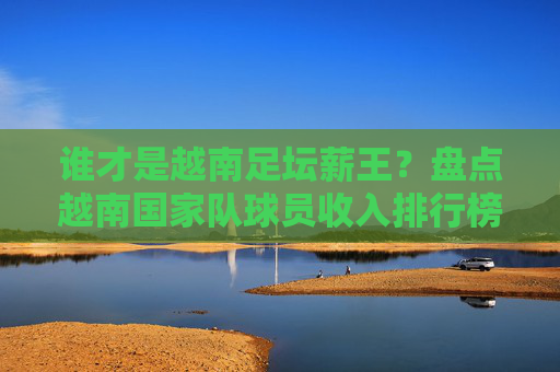 谁才是越南足坛薪王?盘点越南国家队球员收入排行榜