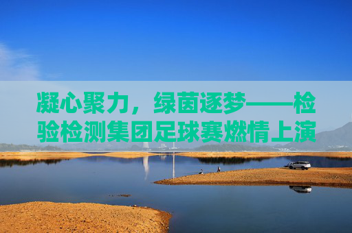 凝心聚力,绿茵逐梦——检验检测集团足球赛燃情上演
