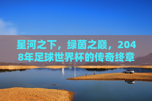 星河之下,绿茵之巅,2048年足球世界杯的传奇终章