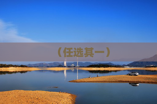 (任选其一)