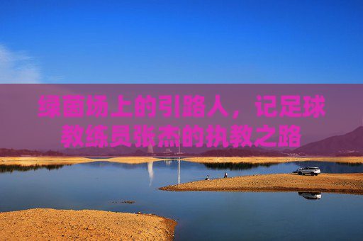 绿茵场上的引路人,记足球教练员张杰的执教之路