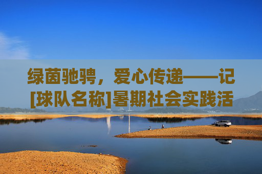 绿茵驰骋，爱心传递——记[球队名称]暑期社会实践活动
