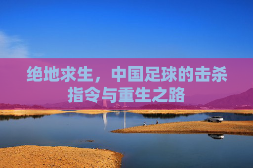 绝地求生,中国足球的击杀指令与重生之路