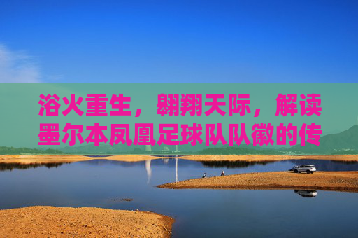 浴火重生,翱翔天际,解读墨尔本凤凰足球队队徽的传奇与象征