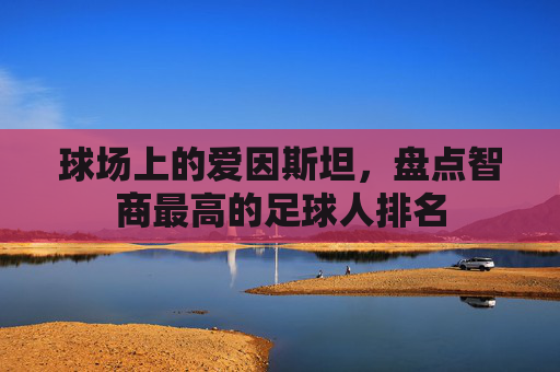 球场上的爱因斯坦,盘点智商最高的足球人排名