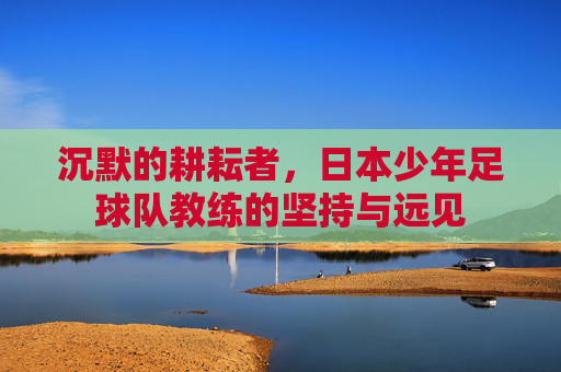 沉默的耕耘者,日本少年足球队教练的坚持与远见