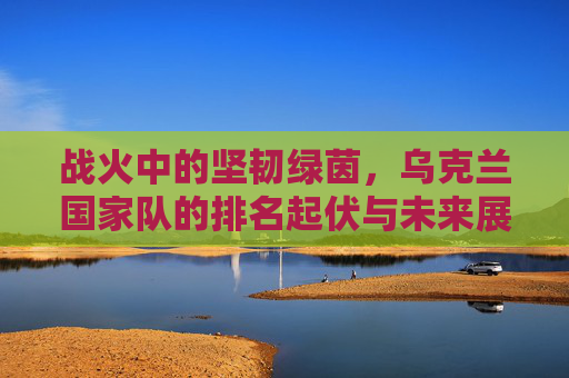 战火中的坚韧绿茵,乌克兰国家队的排名起伏与未来展望