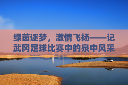 绿茵逐梦,激情飞扬——记武冈足球比赛中的泉中风采