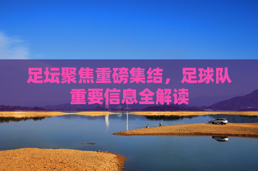 足坛聚焦重磅集结,足球队重要信息全解读