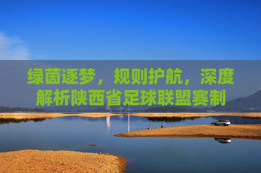 绿茵逐梦,规则护航,深度解析陕西省足球联盟赛制