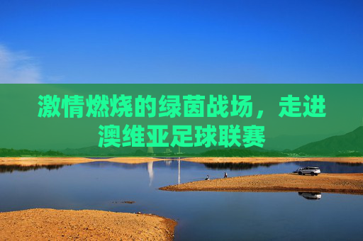 激情燃烧的绿茵战场,走进澳维亚足球联赛