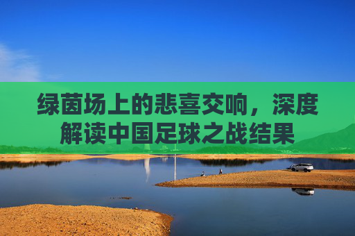 绿茵场上的悲喜交响,深度解读中国足球之战结果
