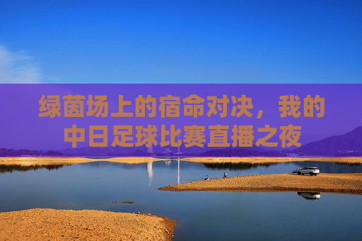 绿茵场上的宿命对决,我的中日足球比赛直播之夜