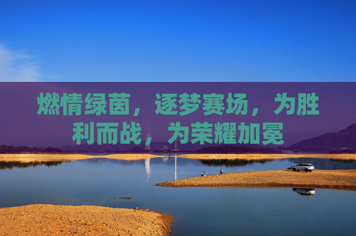 燃情绿茵,逐梦赛场,为胜利而战,为荣耀加冕