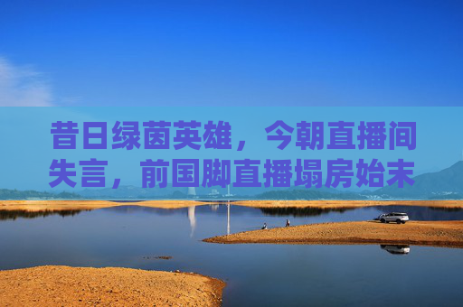 昔日绿茵英雄,今朝直播间失言,前国脚直播塌房始末
