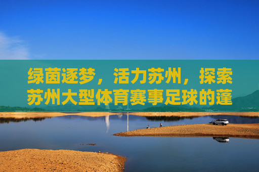 绿茵逐梦,活力苏州,探索苏州大型体育赛事足球的蓬勃生机
