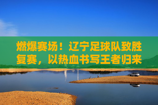 燃爆赛场!辽宁足球队致胜复赛,以热血书写王者归来