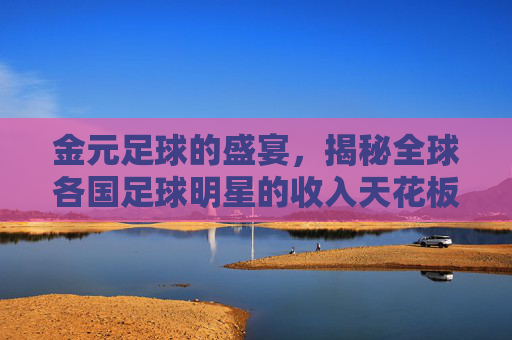 金元足球的盛宴,揭秘全球各国足球明星的收入天花板