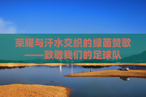 荣耀与汗水交织的绿茵赞歌——致敬我们的足球队