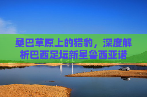 桑巴草原上的猎豹,深度解析巴西足坛新星鲁西亚诺