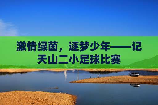 激情绿茵,逐梦少年——记天山二小足球比赛