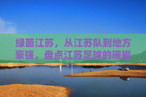 绿茵江苏，从江苏队到地方豪强，盘点江苏足球的璀璨星河