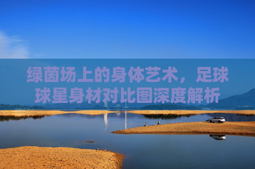 绿茵场上的身体艺术,足球球星身材对比图深度解析