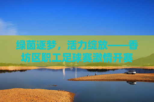 绿茵逐梦,活力绽放——香坊区职工足球赛激情开赛