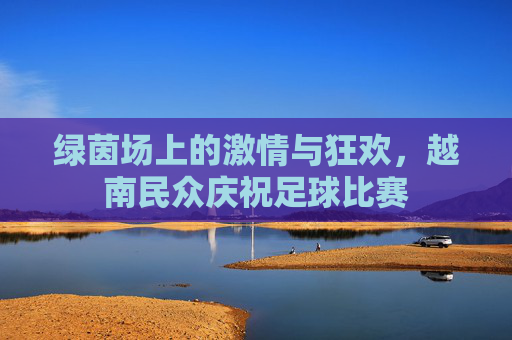 绿茵场上的激情与狂欢,越南民众庆祝足球比赛