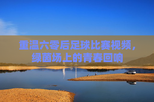 重温六零后足球比赛视频,绿茵场上的青春回响