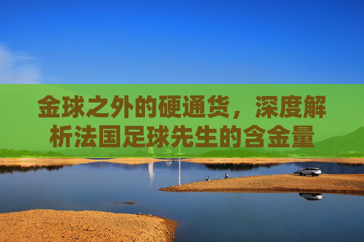 金球之外的硬通货,深度解析法国足球先生的含金量