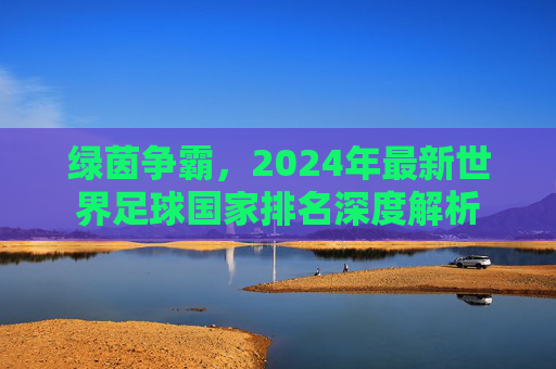 绿茵争霸,2024年最新世界足球国家排名深度解析
