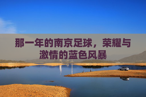 那一年的南京足球,荣耀与激情的蓝色风暴