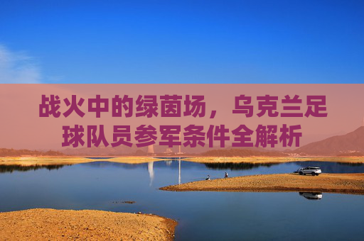 战火中的绿茵场,乌克兰足球队员参军条件全解析