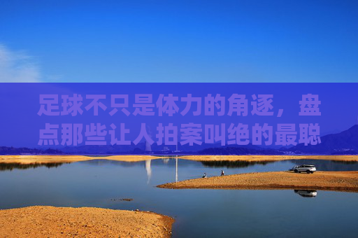 足球不只是体力的角逐，盘点那些让人拍案叫绝的最聪明瞬间视频