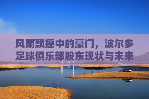 风雨飘摇中的豪门,波尔多足球俱乐部股东现状与未来博弈