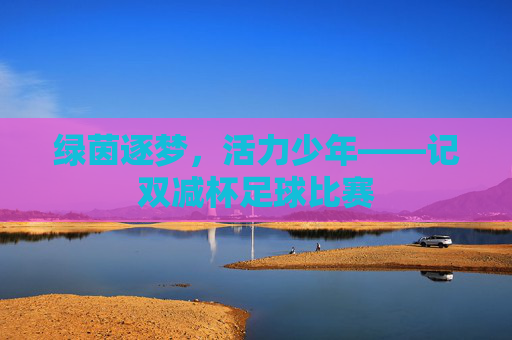 绿茵逐梦,活力少年——记双减杯足球比赛