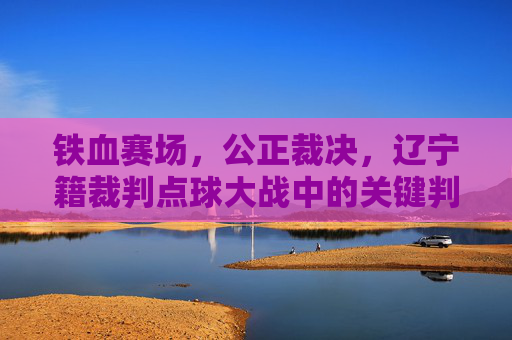 铁血赛场,公正裁决,辽宁籍裁判点球大战中的关键判罚回顾