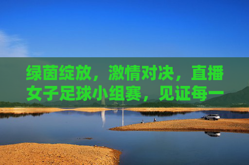 绿茵绽放，激情对决，直播女子足球小组赛，见证每一刻荣耀与汗水